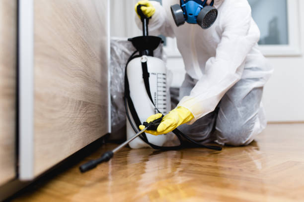 Best Termite Control Services  in Orlando, FL