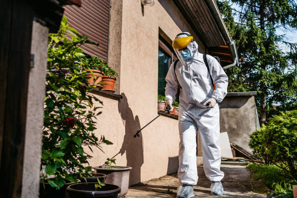 Best Flea Control Services  in Orlando, FL