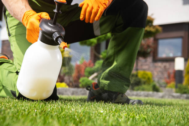 Best Affordable Pest Control Services  in Orlando, FL