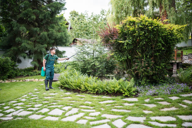Professional Pest Control in Orlando, FL