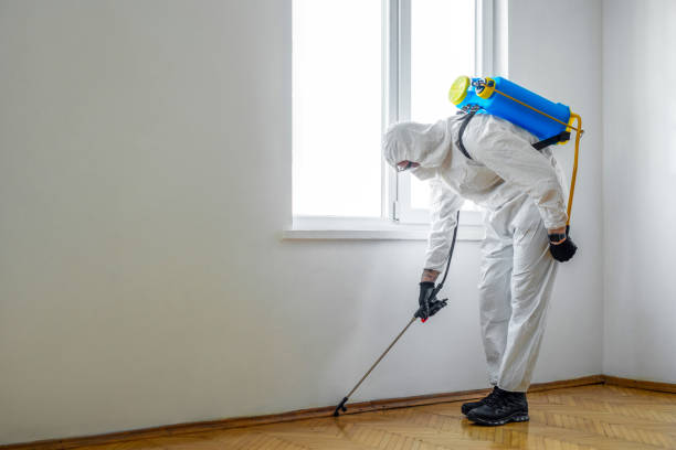 Professional Pest Control in Orlando, FL