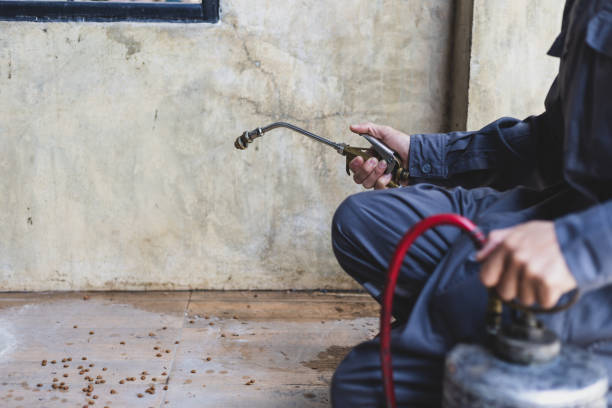 Best Best Pest Control Companies  in Orlando, FL