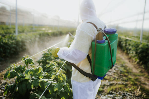 Best Affordable Pest Control Services  in Orlando, FL